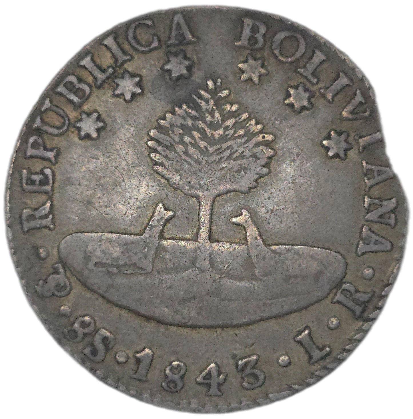 1843 Bolivia 8 Soles - Arts & Entertainment > Hobbies & Creative Arts > Collectibles > Collectible Coins & Currency > Collectible Coins > Rare Coins from The Half Crown