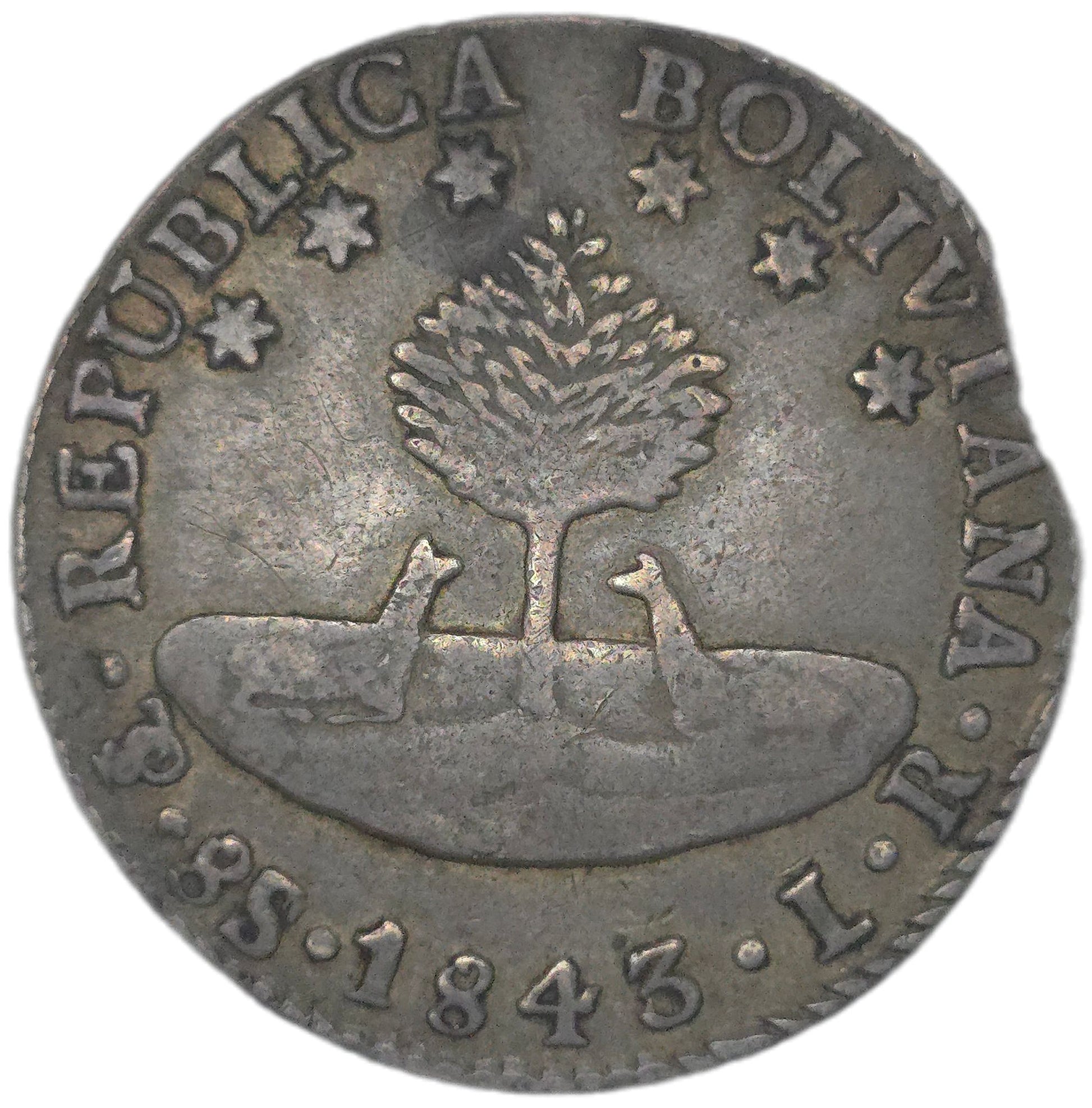 1843 Bolivia 8 Soles - Arts & Entertainment > Hobbies & Creative Arts > Collectibles > Collectible Coins & Currency > Collectible Coins > Rare Coins from The Half Crown