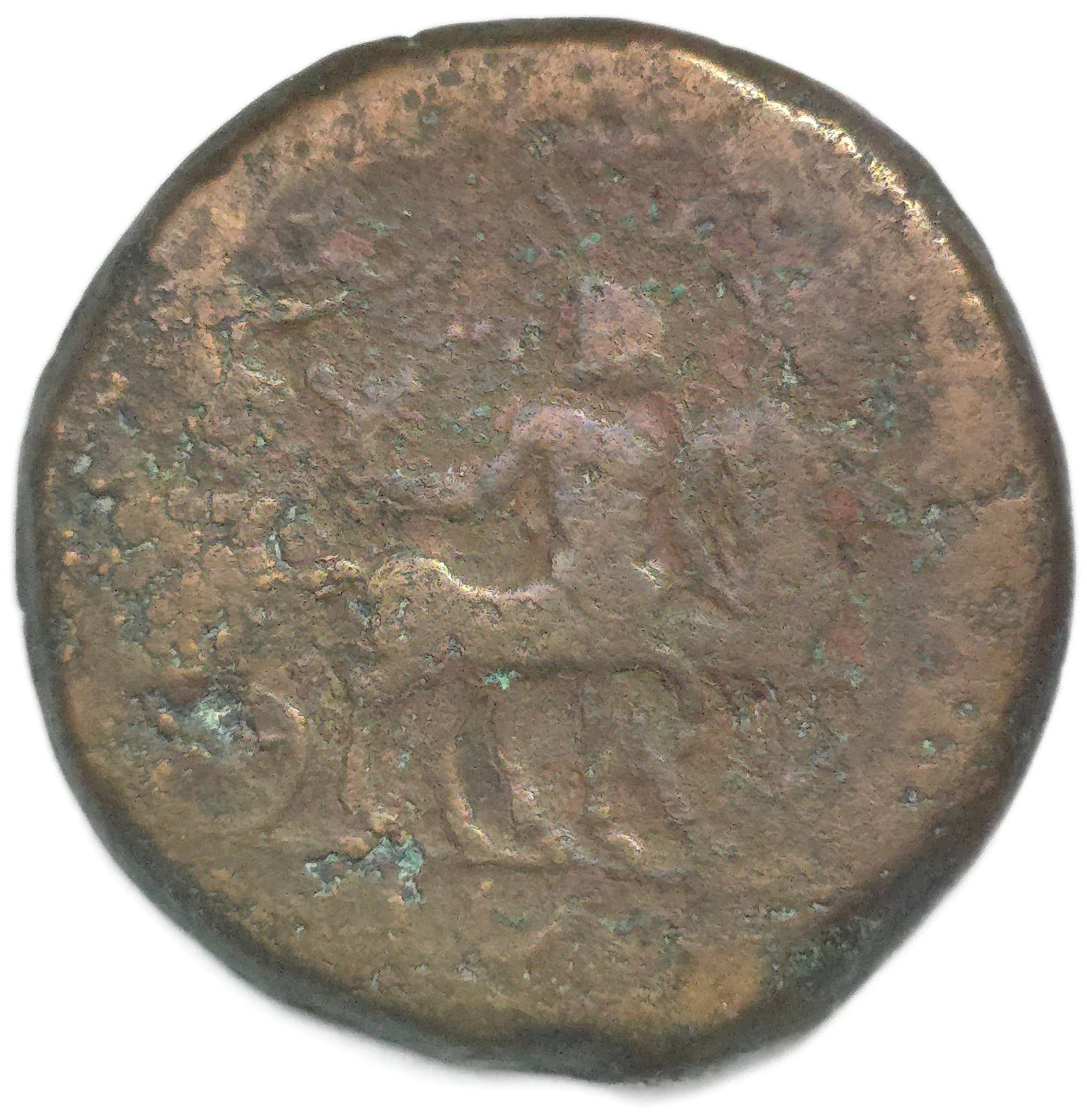 AD81-96 Ancient Rome Domitian Æ Drachm, Alexandria Egypt