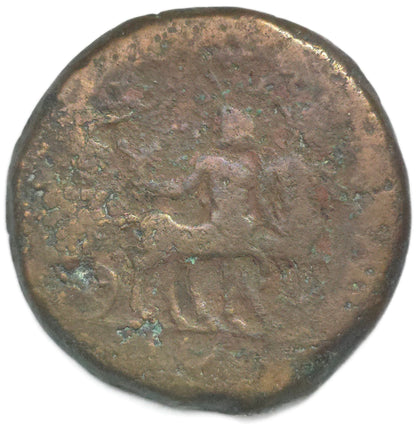 AD81-96 Ancient Rome Domitian Æ Drachm, Alexandria Egypt