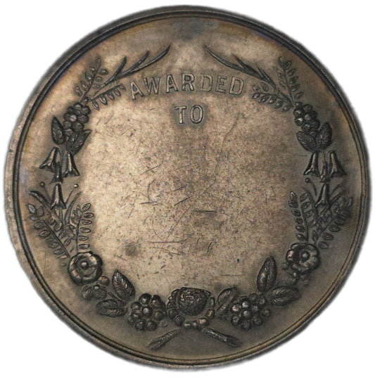 1882 New Zealand International Exhibition Medal, Rare